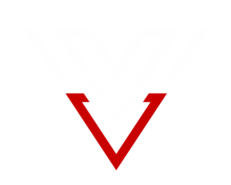 Vivid Visions Logo